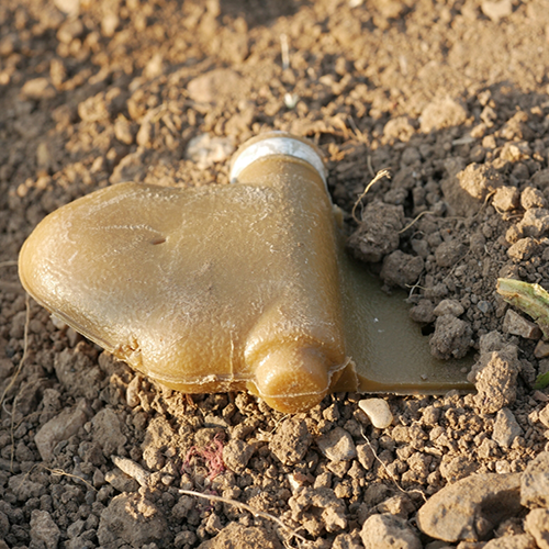 9ea2430b049bc00ad3c0a3ab19d70891_shutterstock_2175858105_copy.webp