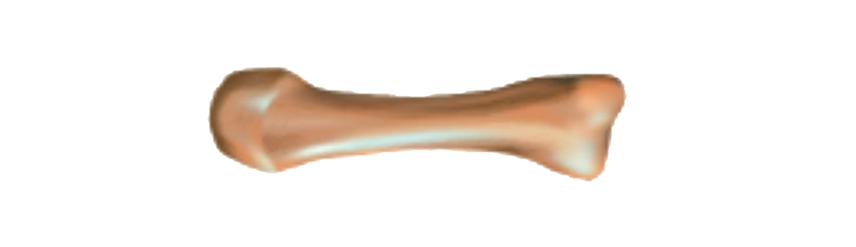 1bd89da1e9e7211ade56e117d631f0ce_biolog_8kl_unit_04_01-2.jpg