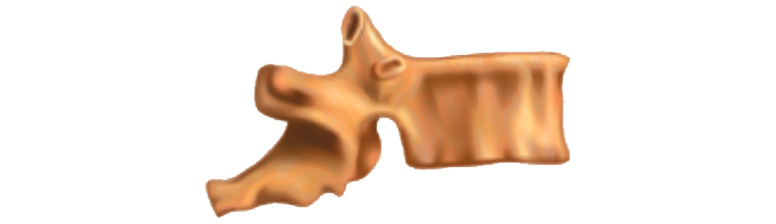 42e27c403cd5ca7d11c3368fdf118452_biolog_8kl_unit_04_01-3.jpg