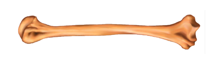 b0c58f63d0d78c1af343559892070673_biolog_8kl_unit_04_01-4.jpg