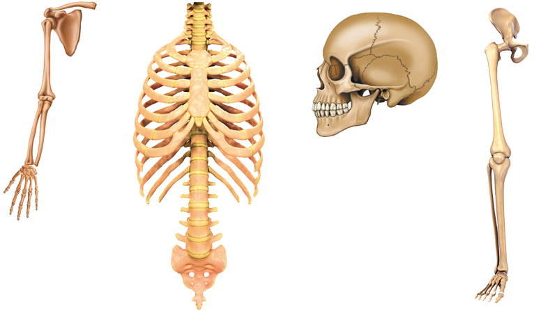 c2d5ba627b106ed9dd2bc5b5049a1486_biolog_8kl_unit_04_30.jpg