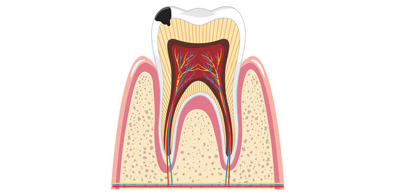 2a63dec2d1490594c7d2a2320ffcd8f3_biolog_8kl_unit_22_31.png