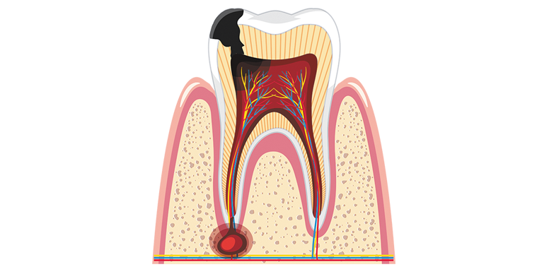 907f8b06d2d24a00cee6177395256ef9_biolog_8kl_unit_22_33.png