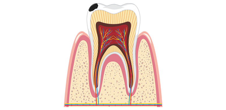 e3144039258cf4a0149216c799160d29_biolog_8kl_unit_22_30.png