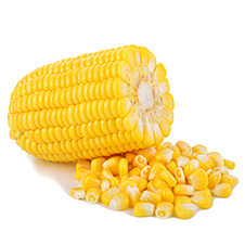 8c89d574b575a0f20d711f210022b890_32_031.jpg
