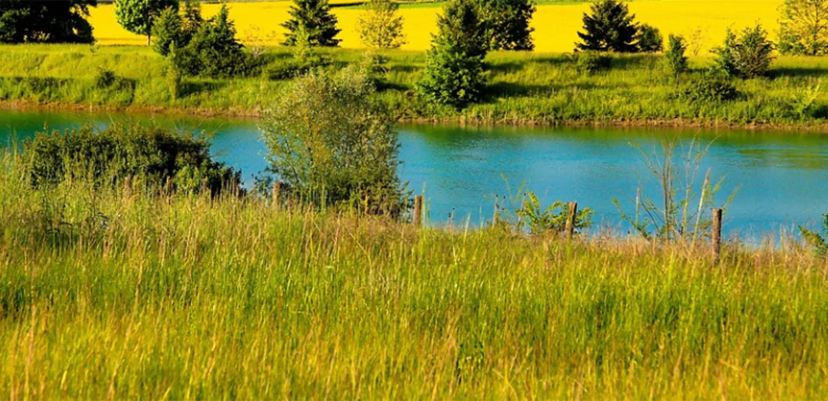 Україна — мій рідний край