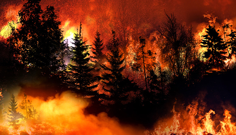 741e32624cbca3225d45111210f636a7_shutterstock_1788639788.jpg