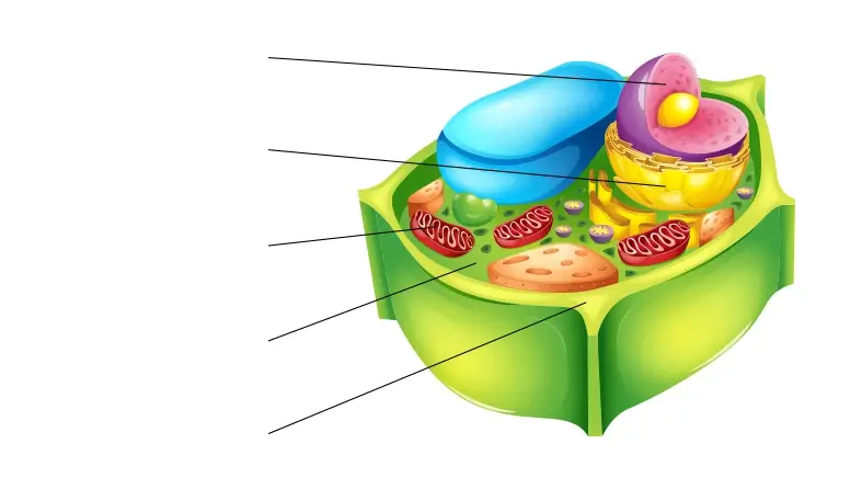 6984d75573969c4e40a56ec62132bebb_p6-3.2-shutterstock-209057953.webp