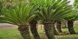 c0b940d9f8361a6c40cf361e2691ba52_p12_3.8_shutterstock_2184921695.webp