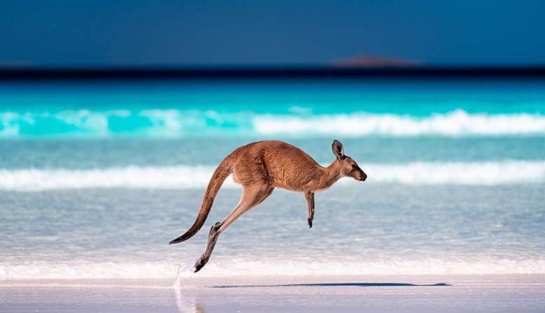 8a94a5d23007a3450cbfb8243c57e802_shutterstock_1644504676.jpg
