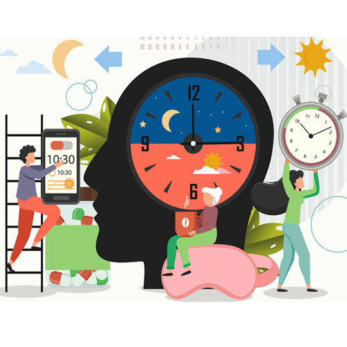 30. Біологічні ритми